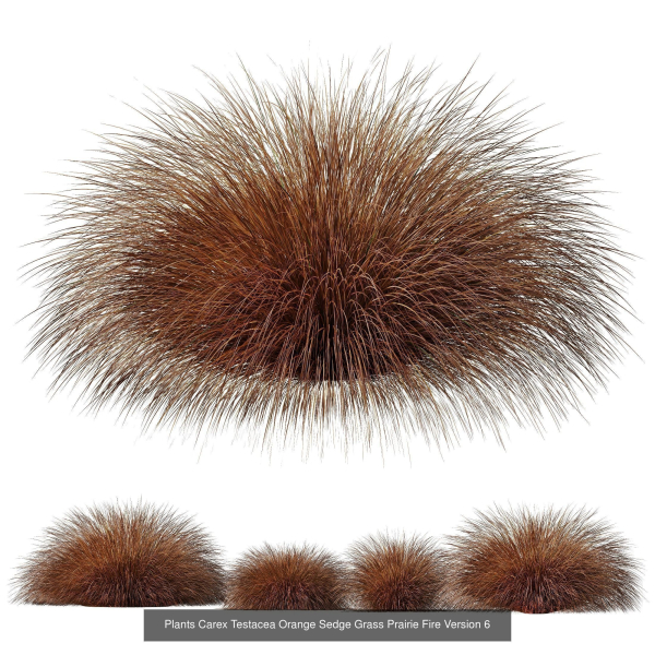 80 Different SETS Of Grass and Bush SET VOL08