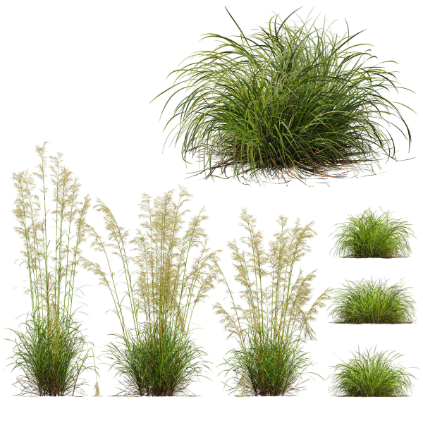 80 Different SETS Of Grass and Bush SET VOL08
