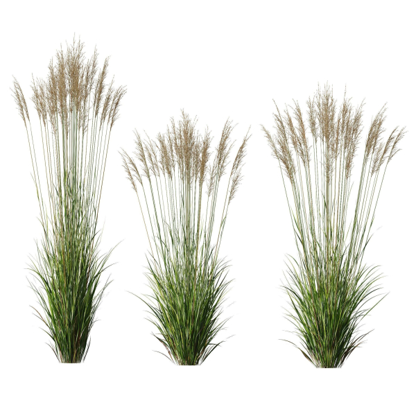 80 Different SETS Of Grass and Bush SET VOL08