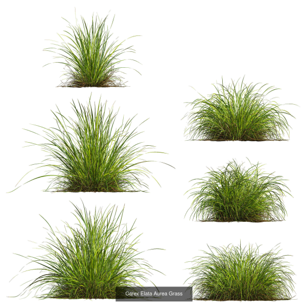 80 Different SETS Of Grass and Bush SET VOL08