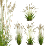 80 Different SETS Of Grass and Bush SET VOL08