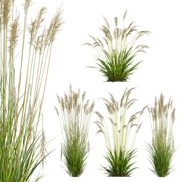 80 Different SETS Of Grass and Bush SET VOL08