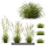 80 Different SETS Of Grass and Bush SET VOL08