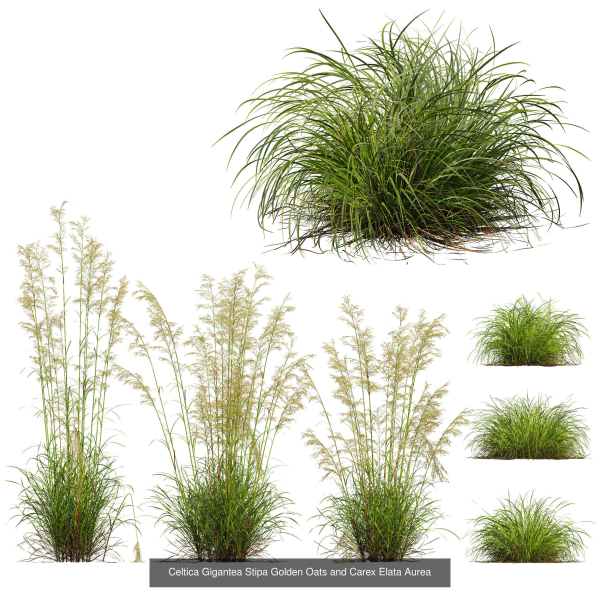 80 Different SETS Of Grass and Bush SET VOL08