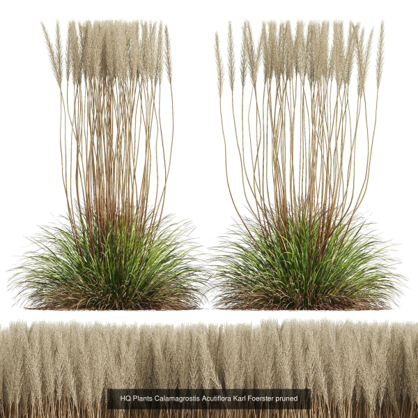 80 Different SETS Of Grass and Bush SET VOL08