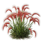 80 Different SETS Of Grass and Bush SET VOL08