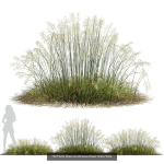 80 Different SETS Of Grass and Bush SET VOL08