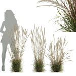 80 Different SETS Of Grass and Bush SET VOL08