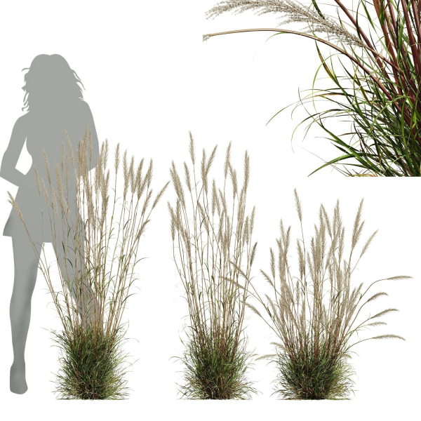80 Different SETS Of Grass and Bush SET VOL08