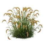 80 Different SETS Of Grass and Bush SET VOL08
