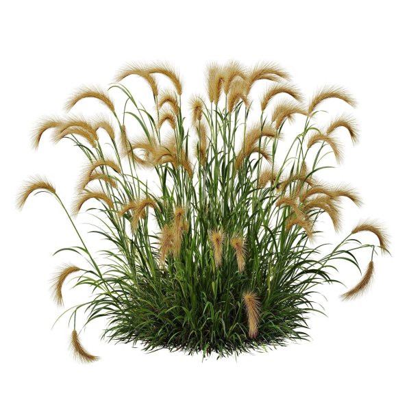 80 Different SETS Of Grass and Bush SET VOL08