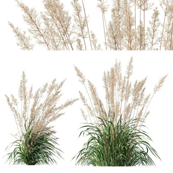 80 Different SETS Of Grass and Bush SET VOL08