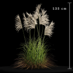 80 Different SETS Of Grass and Bush SET VOL08