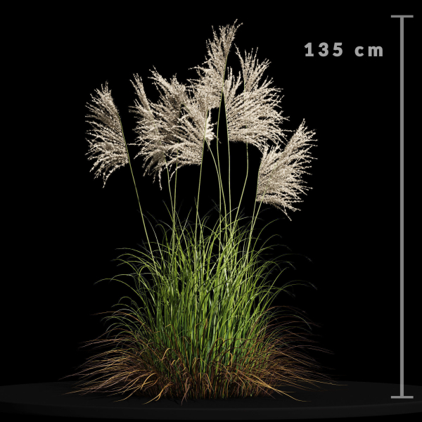 80 Different SETS Of Grass and Bush SET VOL08