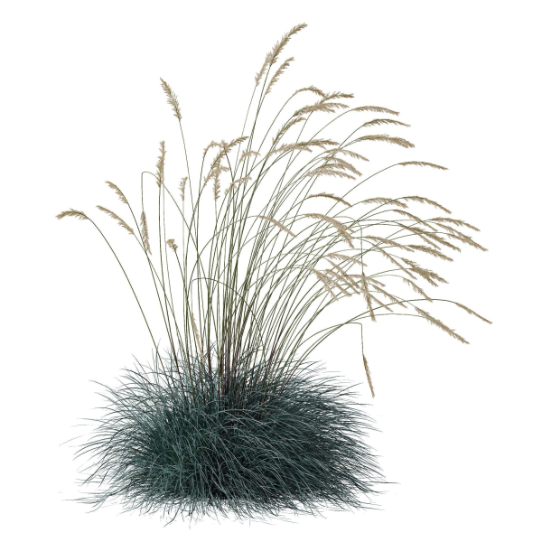 80 Different SETS Of Grass and Bush SET VOL08