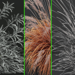 80 Different SETS Of Grass and Bush SET VOL08