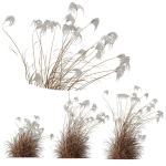 80 Different SETS Of Grass and Bush SET VOL08