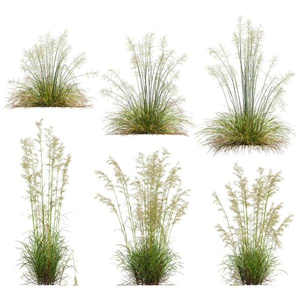 80 Different SETS Of Grass and Bush SET VOL08