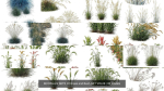 80 Different SETS Of Grass and Bush SET VOL08