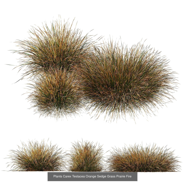 80 Different SETS Of Grass and Bush SET VOL08