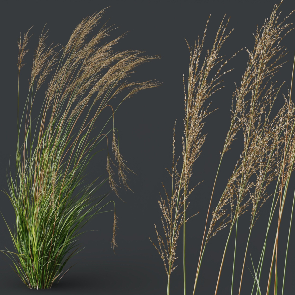 80 Different SETS Of Grass and Bush SET VOL08