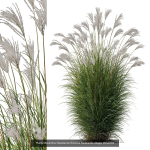 80 Different SETS Of Grass and Bush SET VOL08