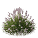 80 Different SETS Of Grass and Bush SET VOL08