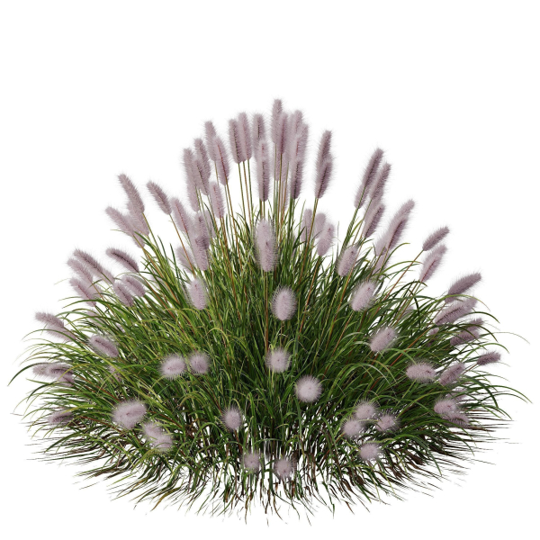 80 Different SETS Of Grass and Bush SET VOL08