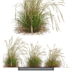 80 Different SETS Of Grass and Bush SET VOL08