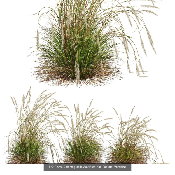 80 Different SETS Of Grass and Bush SET VOL08