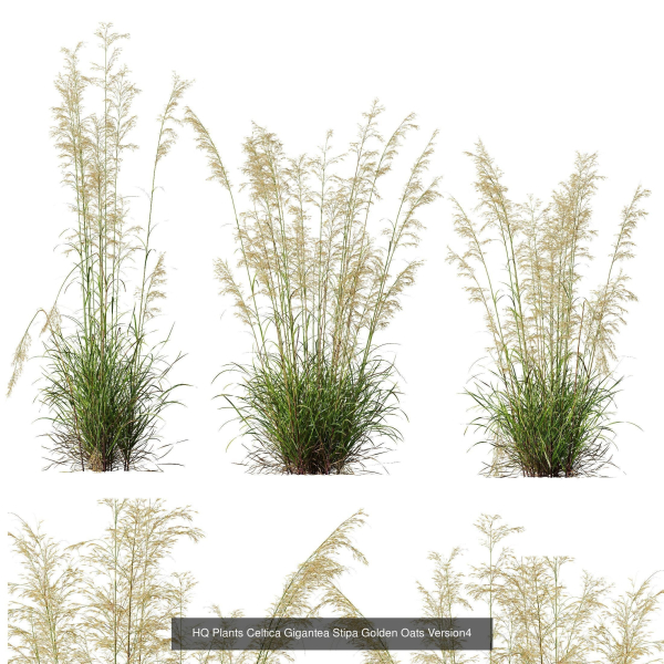80 Different SETS Of Grass and Bush SET VOL08