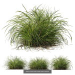 80 Different SETS Of Grass and Bush SET VOL08
