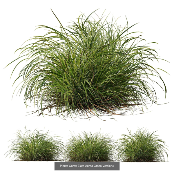 80 Different SETS Of Grass and Bush SET VOL08