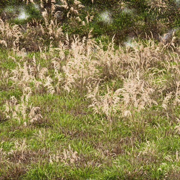 80 Different SETS Of Grass and Bush SET VOL08