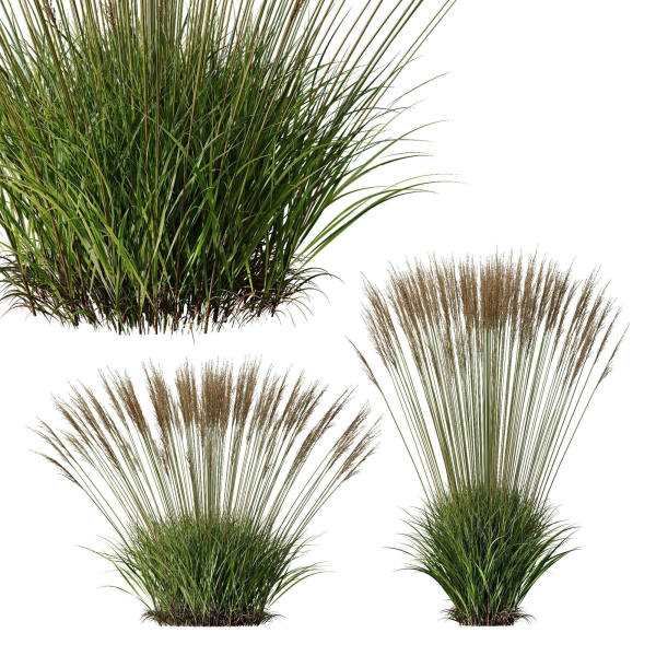 80 Different SETS Of Grass and Bush SET VOL08