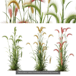 80 Different SETS Of Grass and Bush SET VOL08