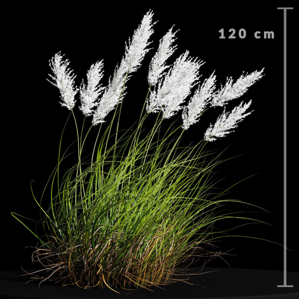 80 Different SETS Of Grass and Bush SET VOL08