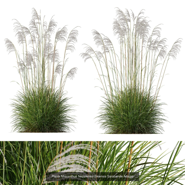 80 Different SETS Of Grass and Bush SET VOL08