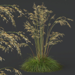 80 Different SETS Of Grass and Bush SET VOL08