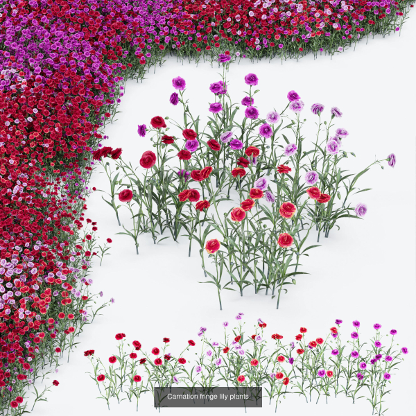 80 Different SETS Of Grass and Bush SET VOL08