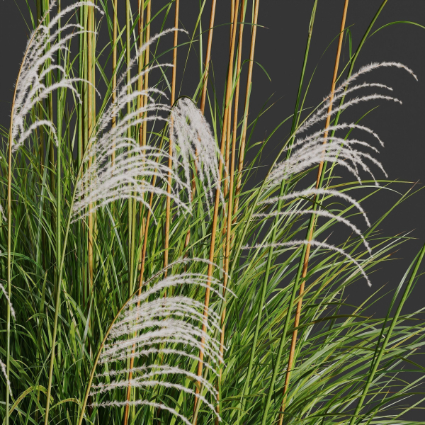 80 Different SETS Of Grass and Bush SET VOL08