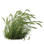 80 Different SETS Of Grass and Bush SET VOL08