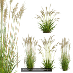 80 Different SETS Of Grass and Bush SET VOL08