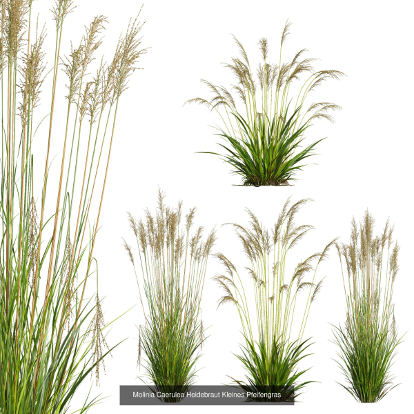 80 Different SETS Of Grass and Bush SET VOL08