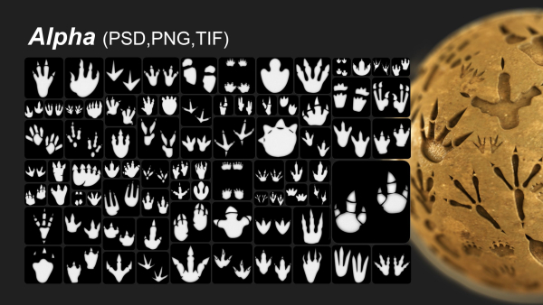 80 Dinosaur footprint brush and alpha