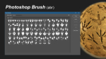 80 Dinosaur footprint brush and alpha