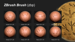 80 Dinosaur footprint brush and alpha