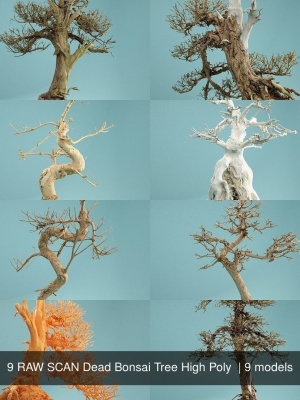 9-raw-scan-dead-bonsai-tree-high-poly-3d-model-obj-mtl-fbx-ma-mb-stl-dae-ztl-zbp