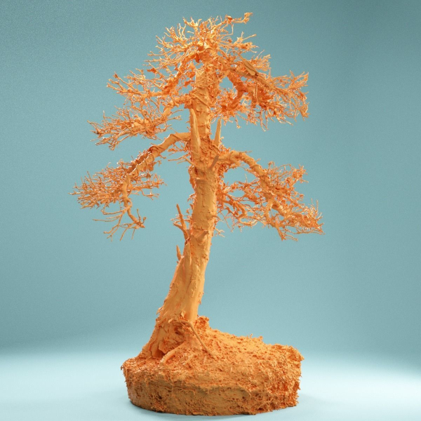 9 RAW SCAN Dead Bonsai Tree High Poly