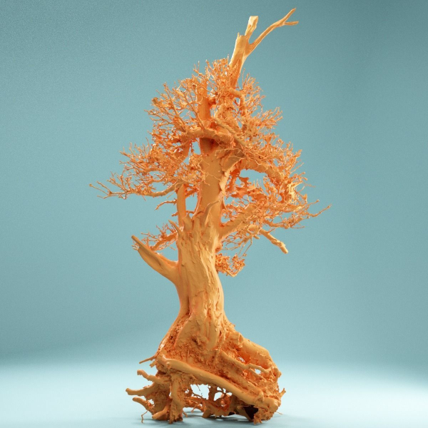 9 RAW SCAN Dead Bonsai Tree High Poly